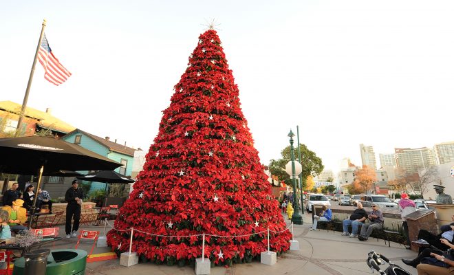 Holiday Events in San Diego