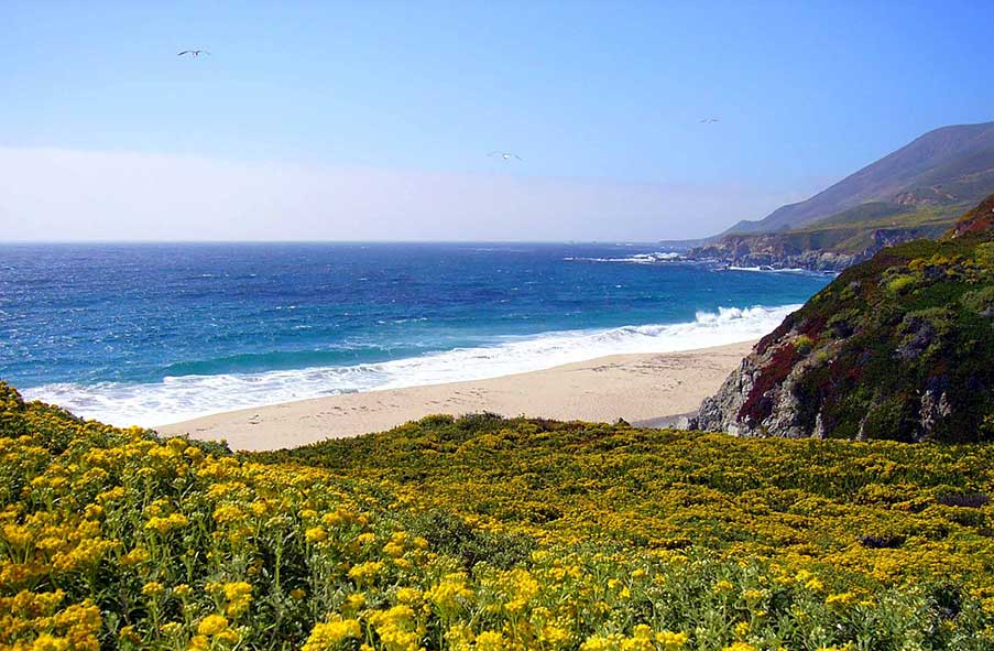 Carmel Valley Property Management