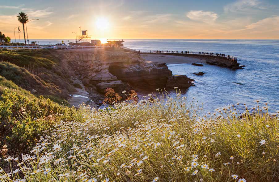 La Jolla Property Management