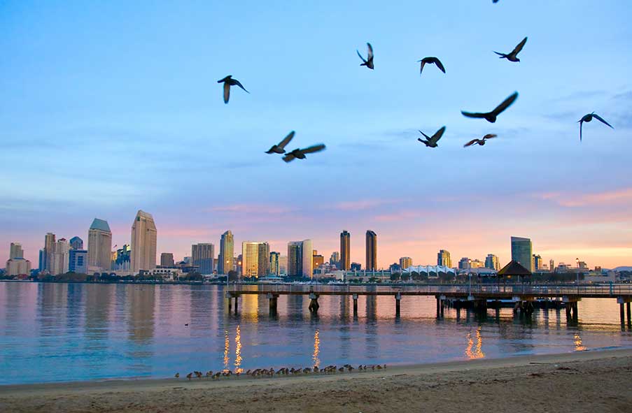 San Diego County Property Management